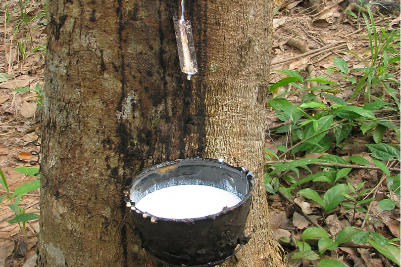 Saltea Latex Natura - 20 cm - fermа