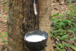Saltea Latex Natura - 20 cm - fermа